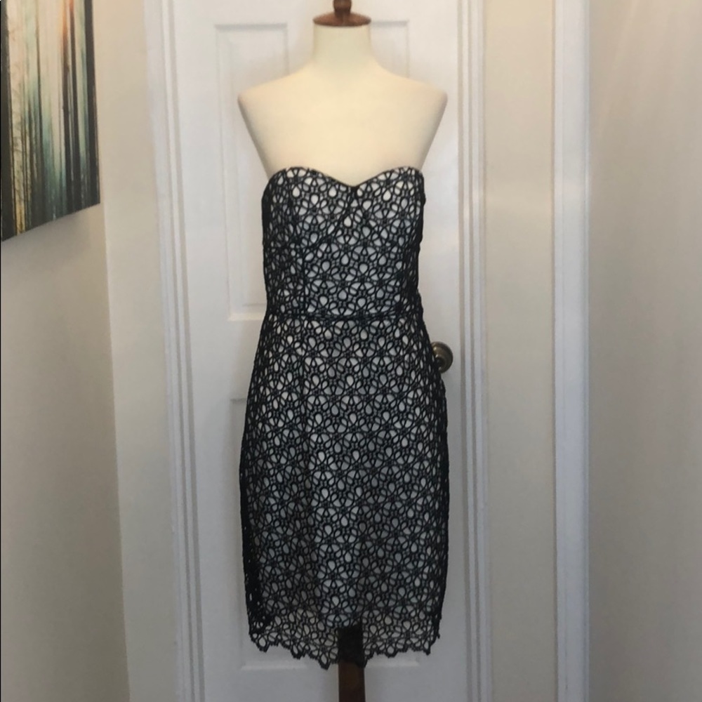 Cynthia Steffe Black & White strapless dress